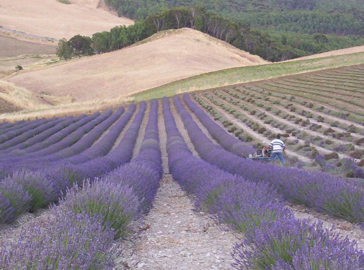 218092_124486647626601_3089901_n